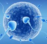 infertility
