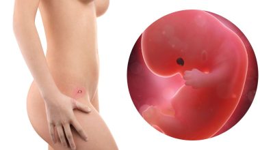 8 гестационна седмица – Бременност по седмици