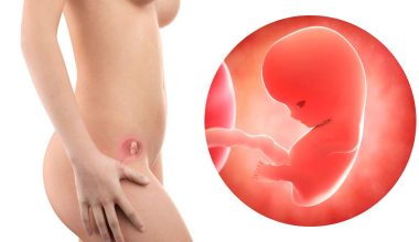 9 гестационна седмица – Бременност по седмици