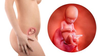 16 гестационна седмица – Бременност по седмици