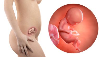 18 гестационна седмица – Бременност по седмици