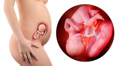 27 гестационна седмица – Бременност по седмици