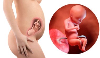 28 гестационна седмица – Бременност по седмици