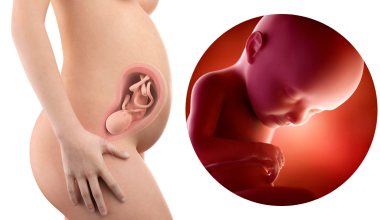 29 гестационна седмица – Бременност по седмици