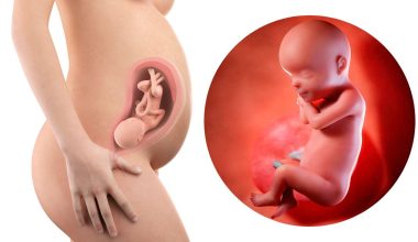30 гестационна седмица – Бременност по седмици